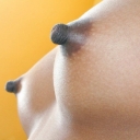 j091.jpg